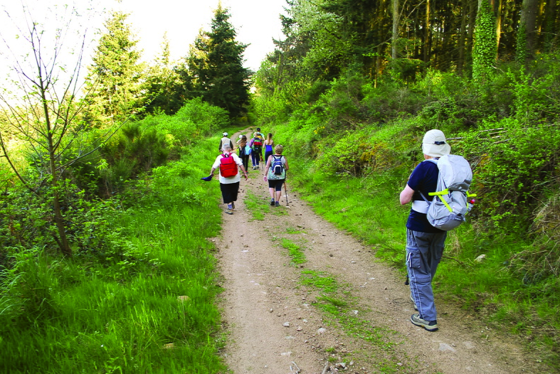 Activités et découvertes autour du camping d'Arpheuilles près de Roanne