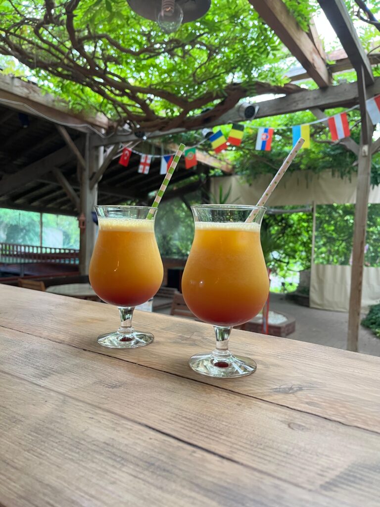 Le bar-snack du camping d’Arpheuilles dans le 42, un instant de convivialité dans un cadre tropical