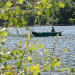 Activité pêche dans la Loire, camping 3 étoiles d’Arpheuilles