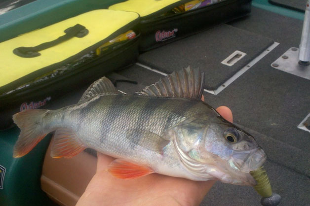 Équipements adaptés pour une pêche optimale, proposés au camping d'Arpheuilles dans la Loire